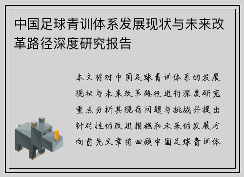 中国足球青训体系发展现状与未来改革路径深度研究报告 中国足球青训体系发展现状与未来改革路径深度研究报告